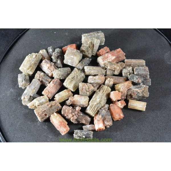 Lote de minerales a la venta: Aragonito (47 unidades). Ref: LTM-1001