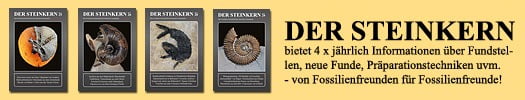 Der Steinkern - Die Fossilien-Zeitschrift der Internet-Community Steinkern.de